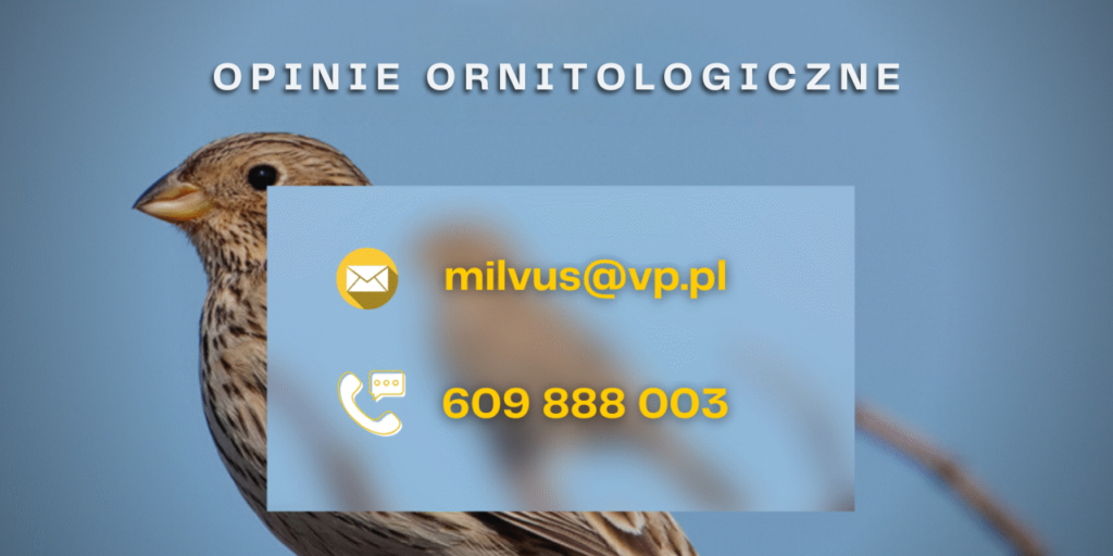 baner kontaktowy informacyjny opinie ornitologiczne warszawa