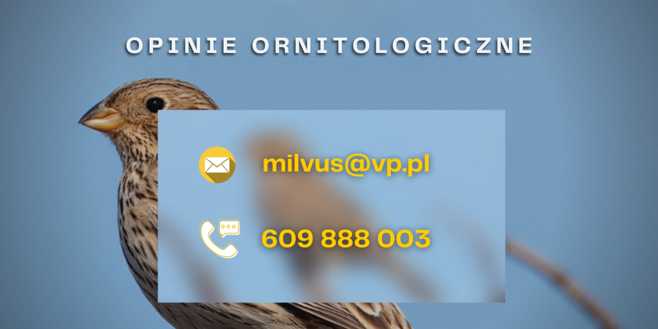 baner kontaktowy informacyjny opinie ornitologiczne warszawa